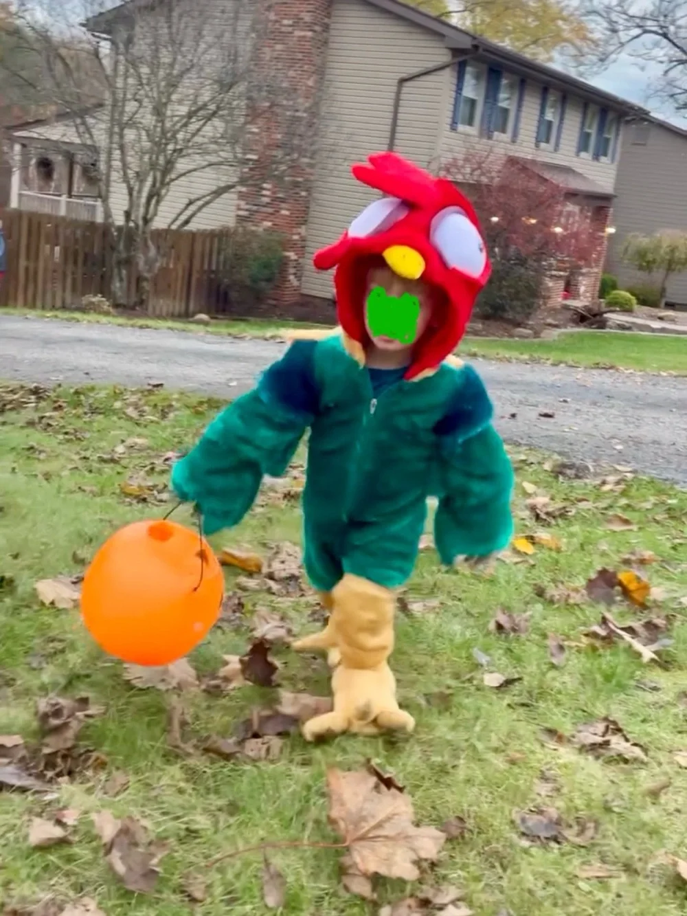 Disney Hei Hei from Moana Chicken Costume size 2t